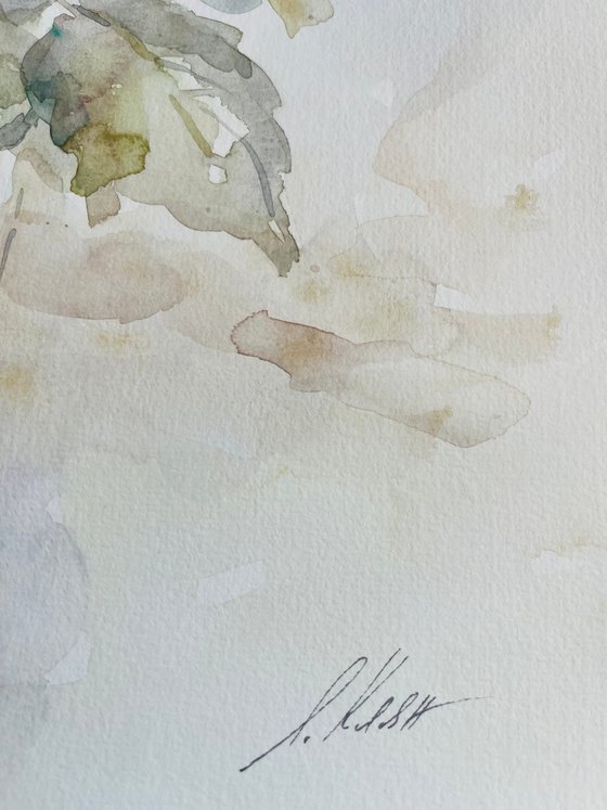 Roses 36x47cm 2025