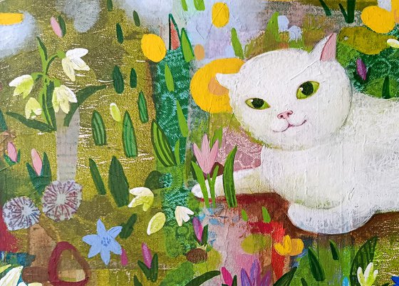 The first flowers of spring