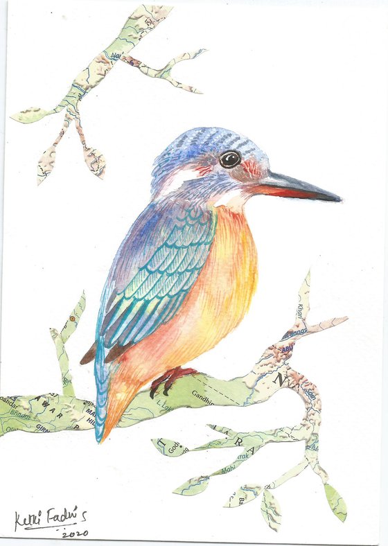 Kingfisher