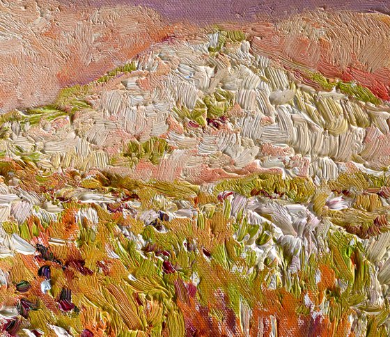 Sandy Desert