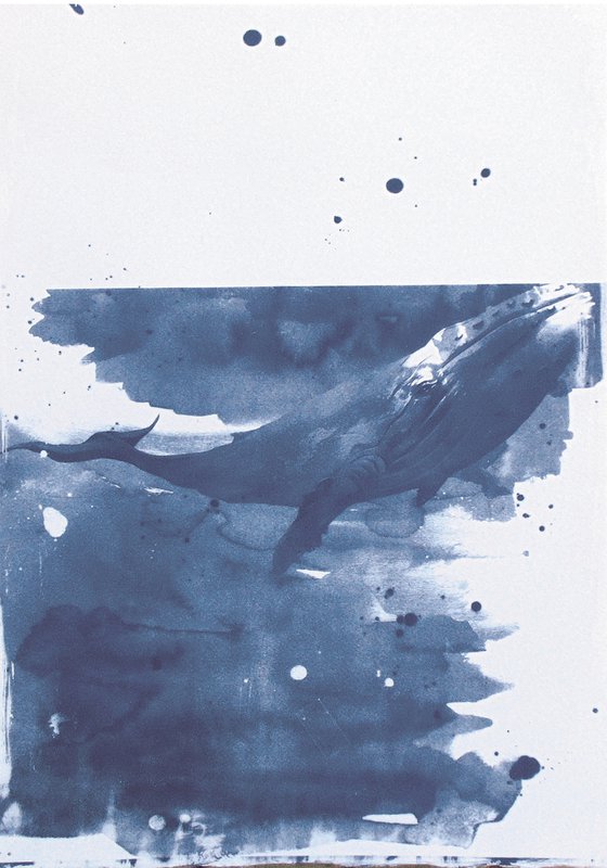 Cyanotype_22_A2_42X60 cm_Whale