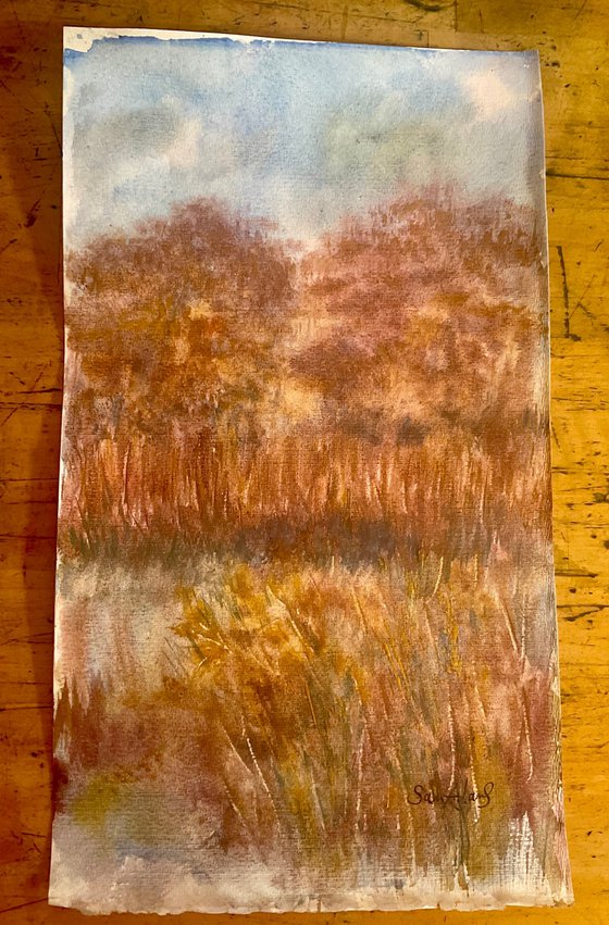 Smallbrook meadow, Wiltshire