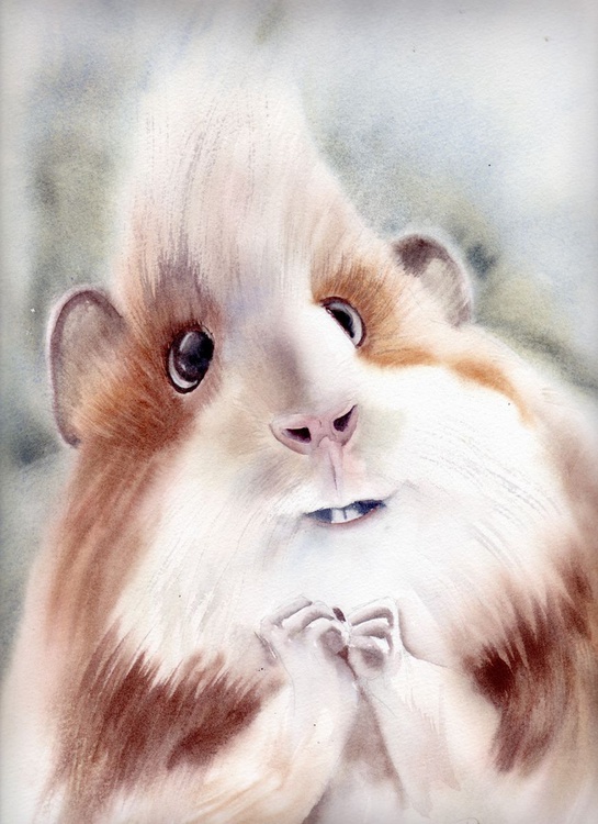 Cute Guinea Pig Art Original Watercolor Painting Artfinder