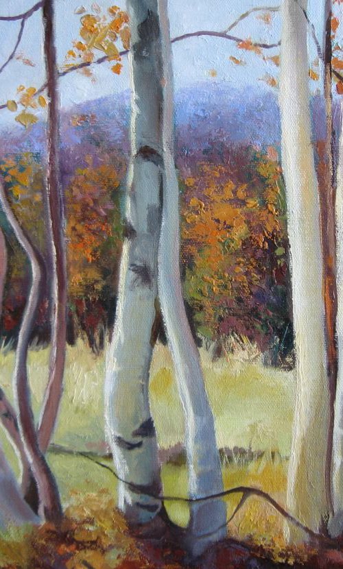 Autumn birches by Elena Oleniuc