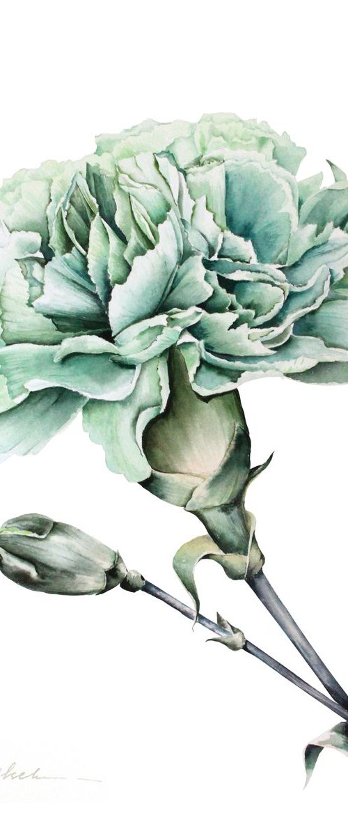 Green Carnation by Olga Koelsch
