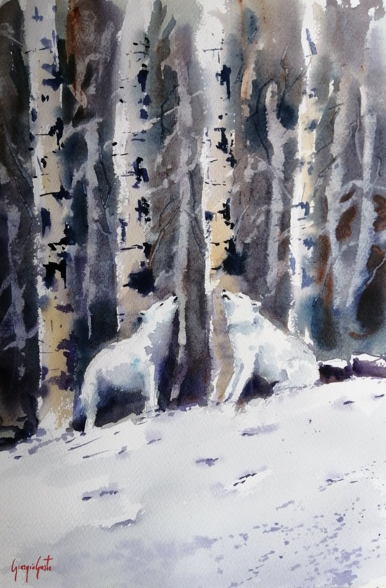 Expressive Animal Watercolour By Giorgio Gosti, 14 X 21, Wolves, Original Artwork