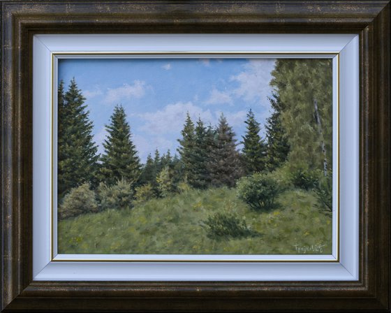 Cemernik Pines