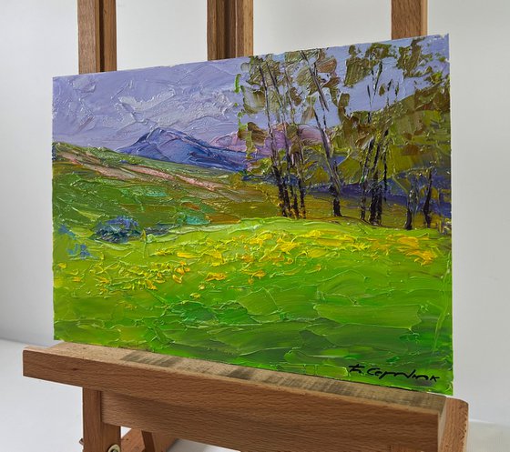 Mountain Flower Fields