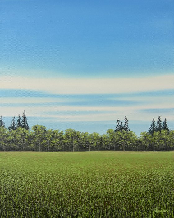 Meadow Grass - Blue Sky Landscape