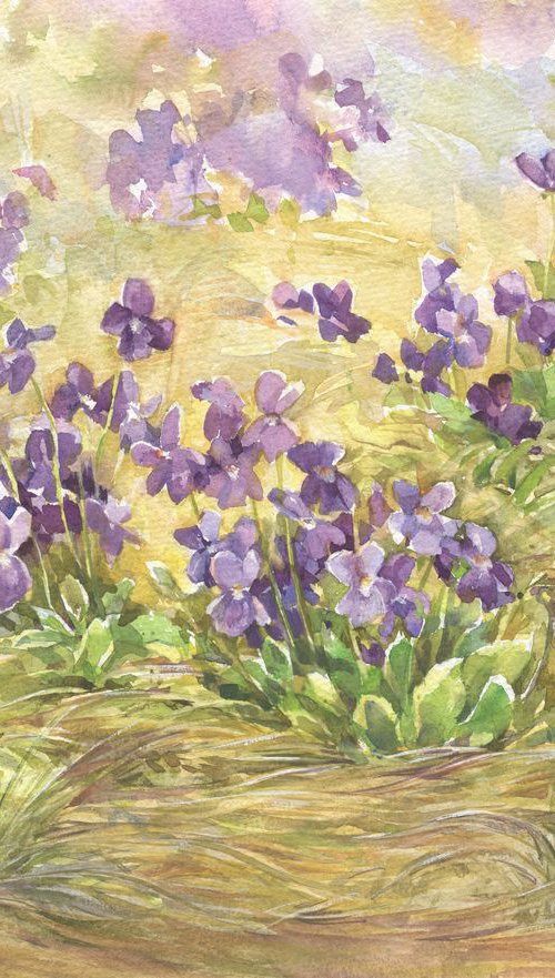 Violets. Violet meadow / Spring flower Floral watercolor by Olha Malko