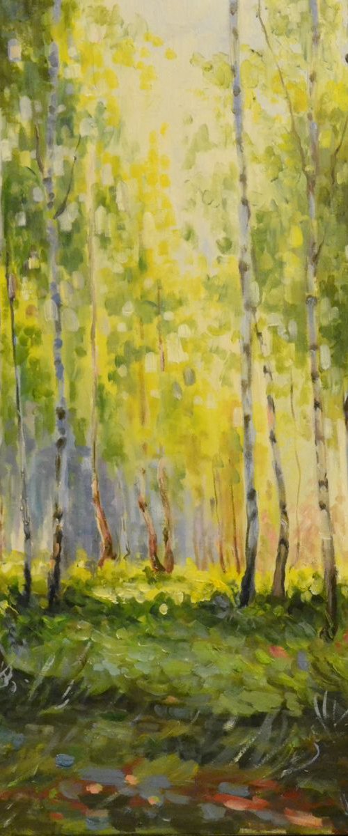 Birch Grove by Tatyana Ambre