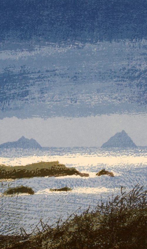 Skellig Islands - Ireland by Aidan Flanagan Irish Landscapes