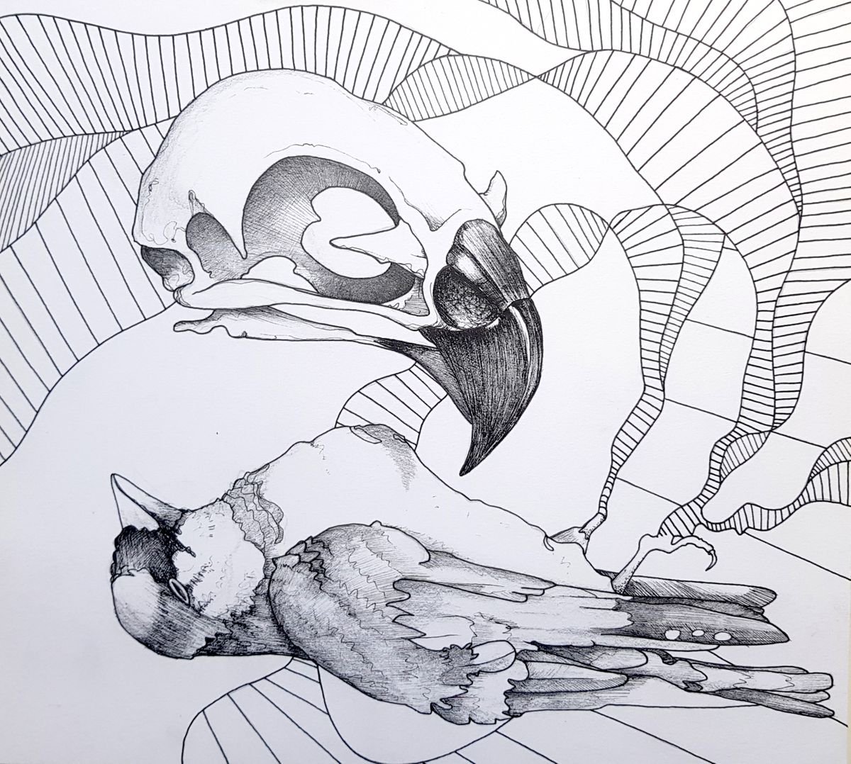 Draw me like those dead birds by Arjan Winkelaar