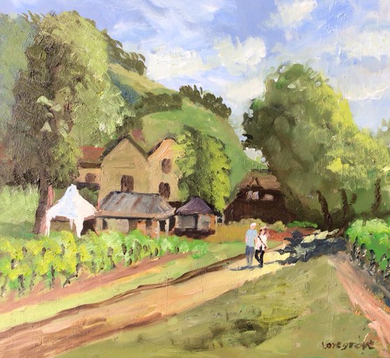 Vineyard in Surrey