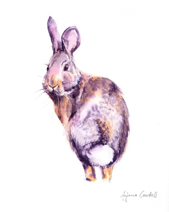 Rabbit painting, original watercolour painting, Wildlife Wall art, Limited palette, Desert cottontail