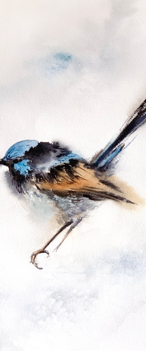 Wren Bird Watercolor Painting by Sophie Rodionov