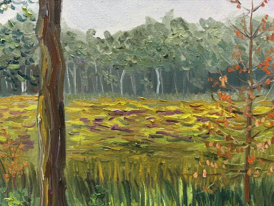 Dutch Forest Clearing. Plein air
