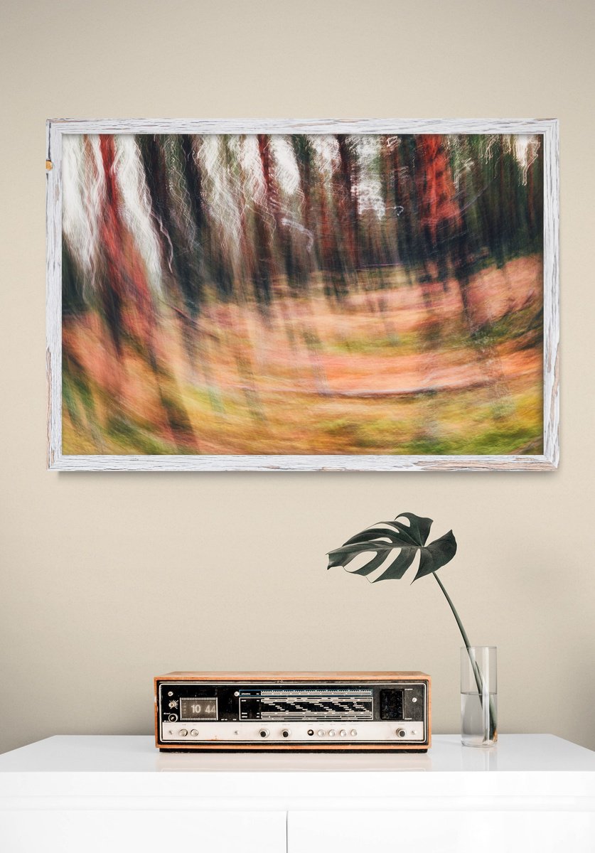 Abstract Landscape Photograph By Karim Carella, 48 X 33", Conifers (Studio 3), Original Artwork