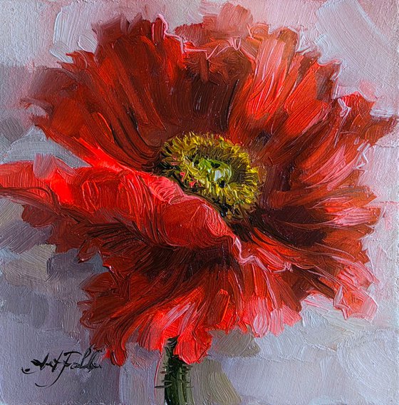 Poppy flower