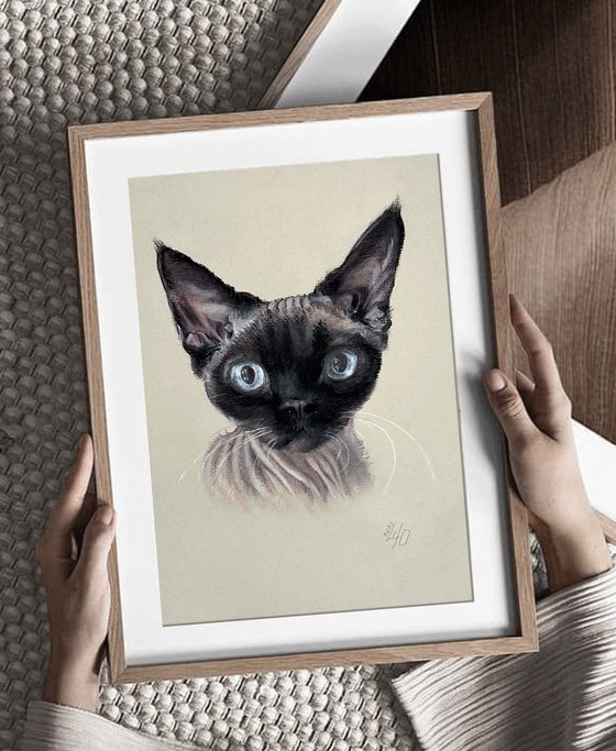 Portrait of sphynx with "Penetrating glance"