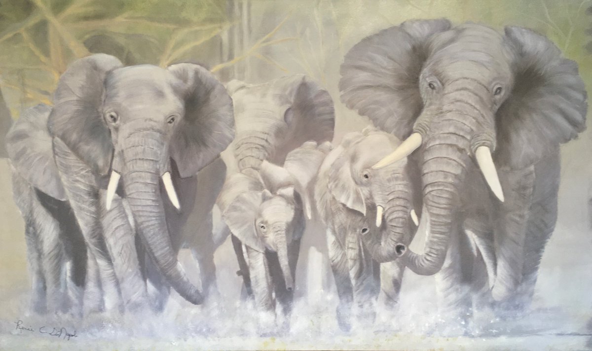 Elephant Herd by Renee DiNapoli