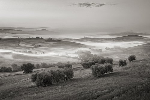 Fog river in Tuscany - Italian Landscape Art Photo by Peter Zelei