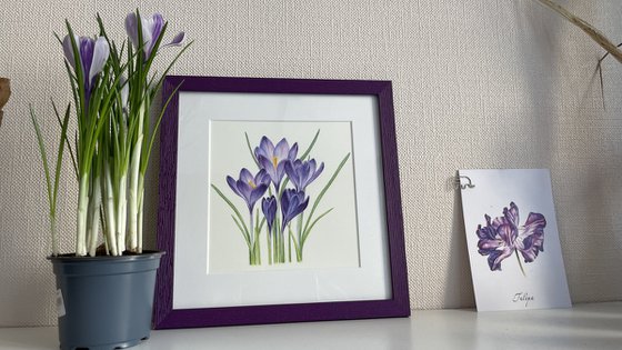 Violet Crocuses original watercolor