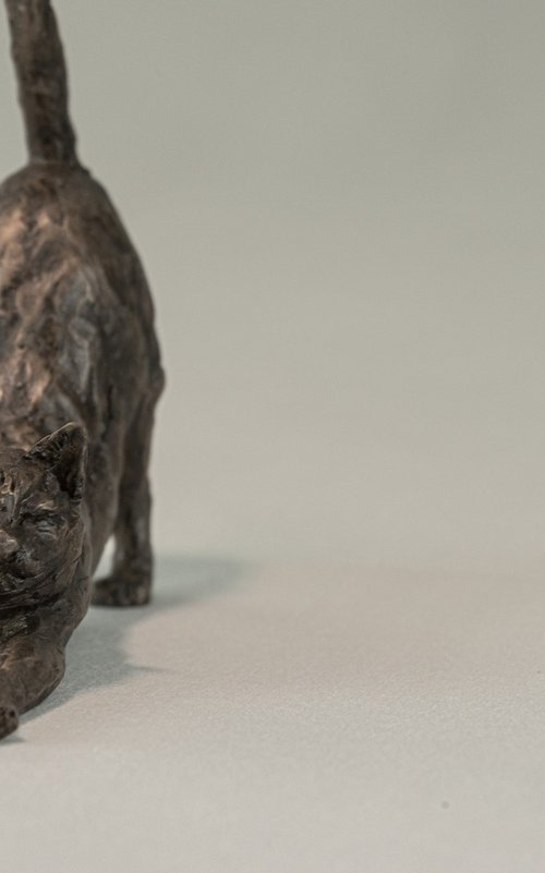 Stretching Cat Bronze by Tanya Russell