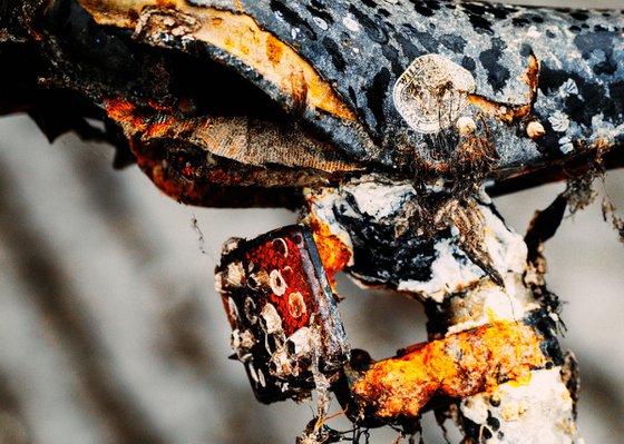 Taken by the Sea III