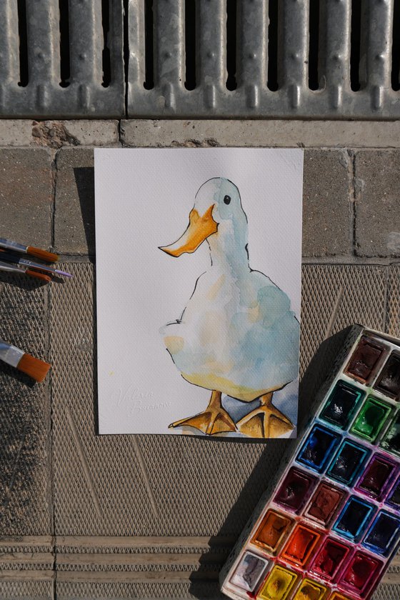 The Serious Duck