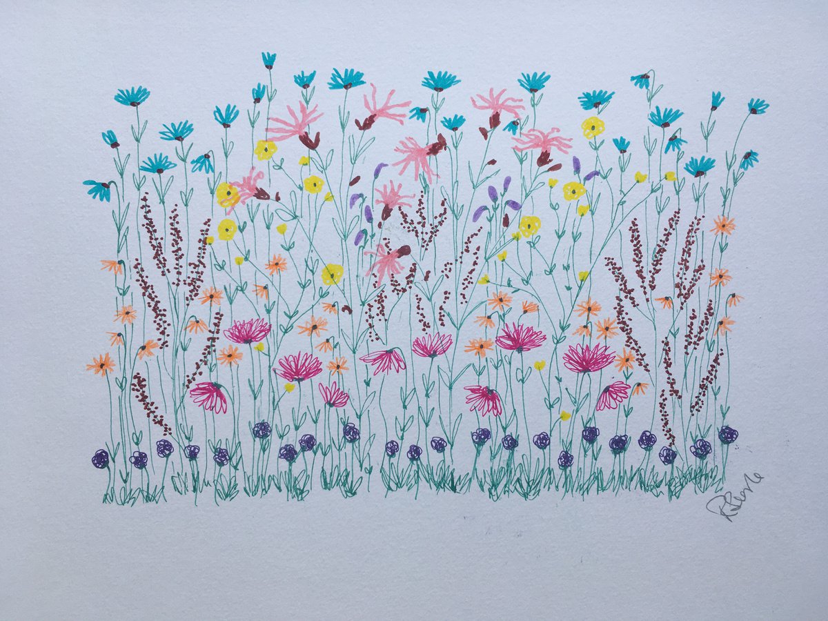 Flower meadow by Ruth Searle