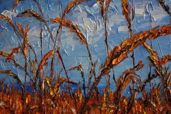 Wheat field