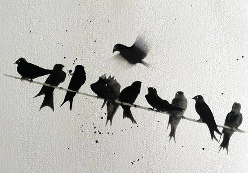 Swallows on a line by Teresa Tanner