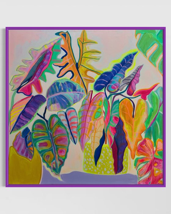 'Alocasia Revelation’