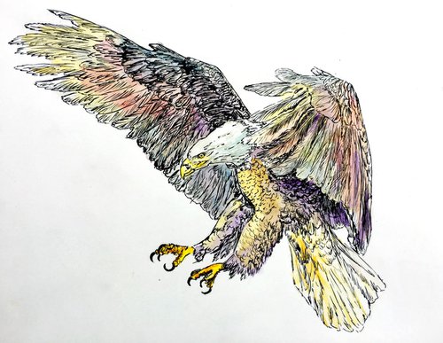 The Eagle by Ksenia Lutsenko
