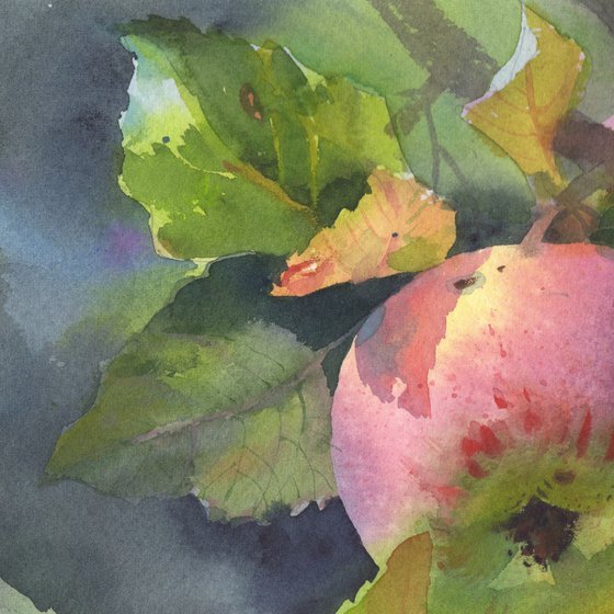 APPLES ON A BRANCH - still life watercolor painting on watercolour paper original decor for interior kitchen and dining room.