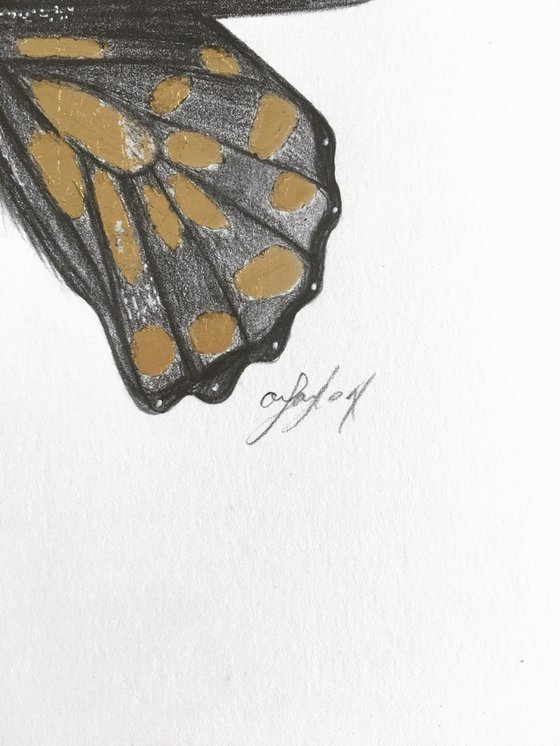 Gold leaf butterfly