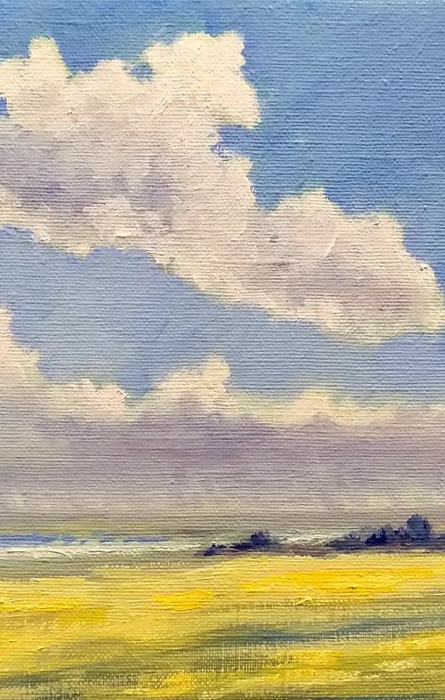 Before rain by Oleh Rak