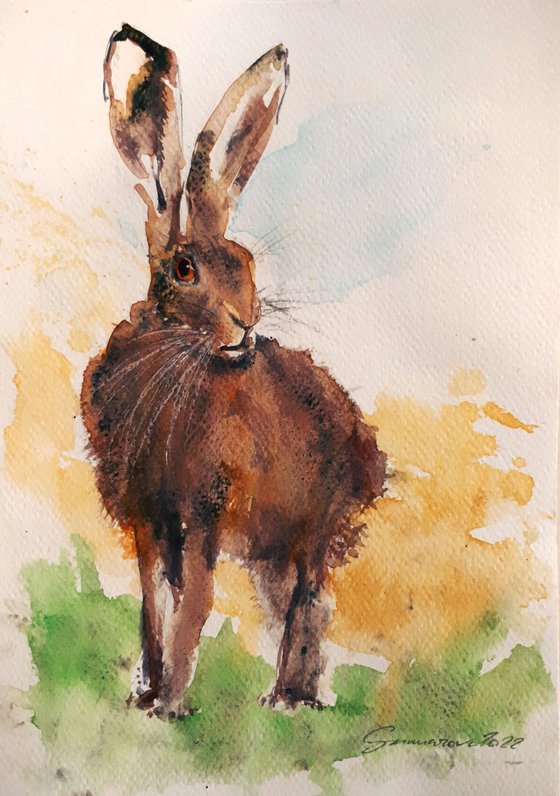 Hare I /  ORIGINAL WATERCOLOR  PAINTING