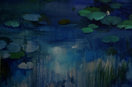 Lily pond. Lullaby