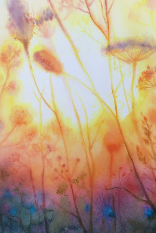 Sunset Serenity  - Wildflowers by Olga Beliaeva Watercolour