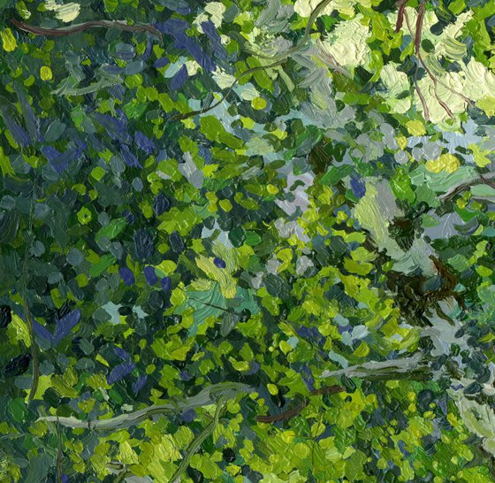Birches