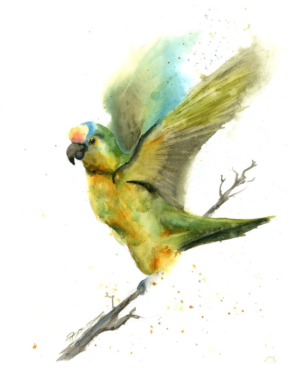 Green parrot by Olga Shefranov (Tchefranova)