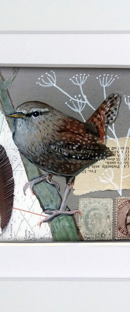 The Wren feather  (framed and ready to hang) by Carolynne Coulson