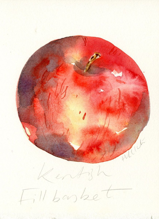Kentish Fillbasket Apple Watercolour Artfinder