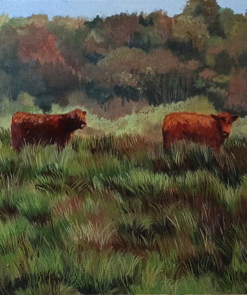 the buffalo family by Laura Muolo