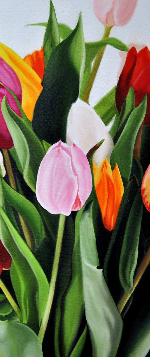 Tulips by Simona Tsvetkova