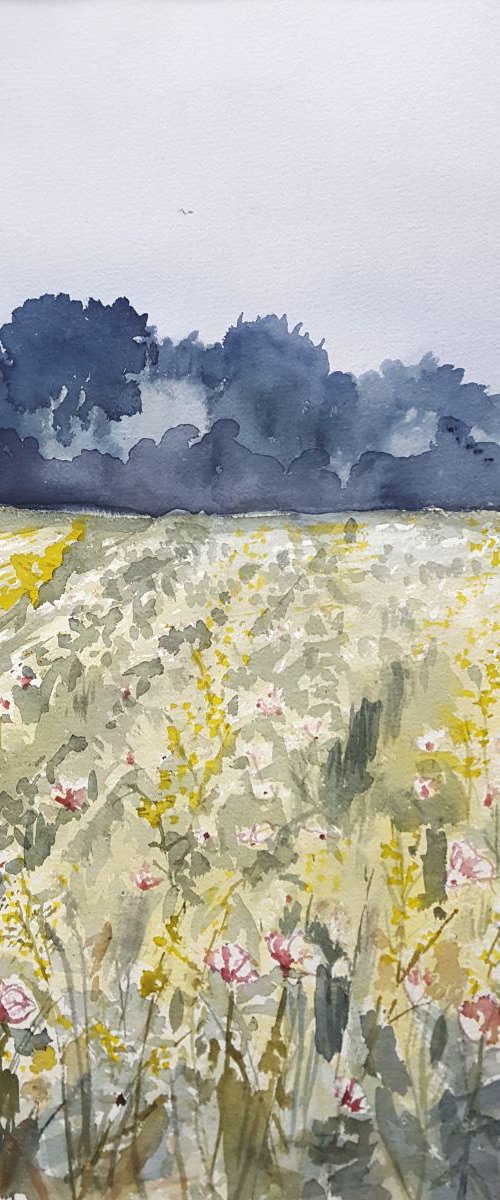 Field with pink and yellow Flowers by Morag Paul