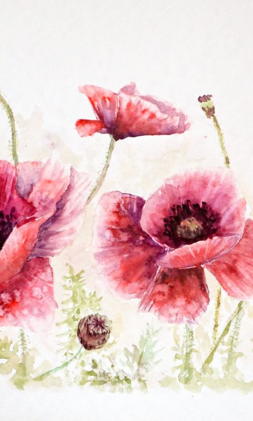 POPPIES by Yulia Schuster