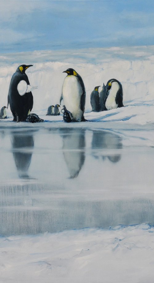 Penguin Colony by Oleg Kateryniuk